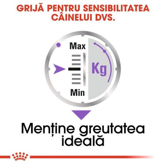 Royal Canin Sterilised All Sizes – Hrană Umedă Pate pentru Câini Sterilizați – 85 g